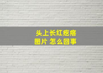 头上长红疙瘩图片 怎么回事